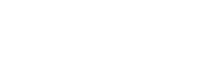 伝統の茶師体験