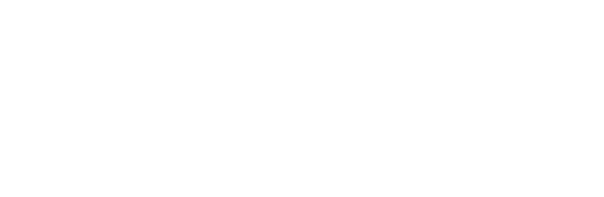 伝統の茶師体験
